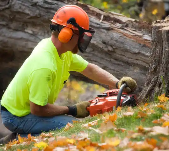 tree services Celoron